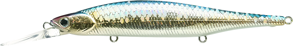 270 MS American Shad