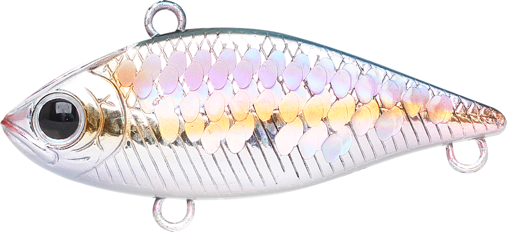 270 MS American Shad