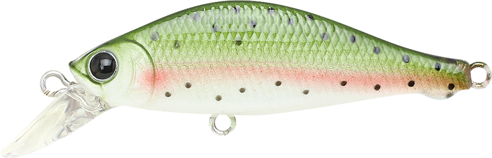 056 Rainbow Trout