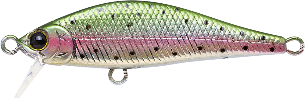276 Laser Rainbow Trout