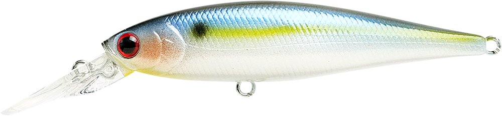 183 Pearl Threadfin Shad