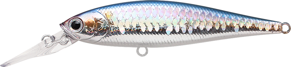 270 MS American Shad