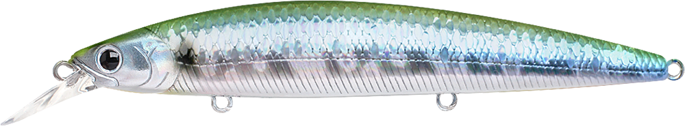 770 MS Green Herring