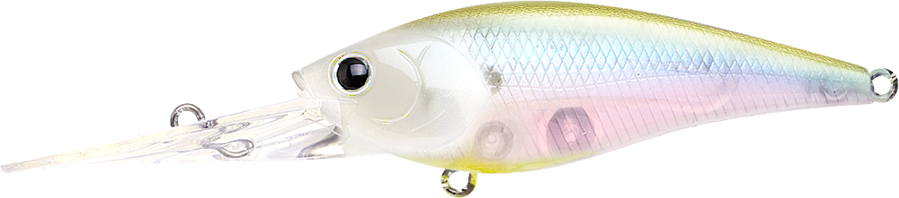 528 Golden Ghost Minnow