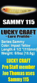 http://www.luckycraft.com/luckycrafthome/Products/topwater/sammy115.htm